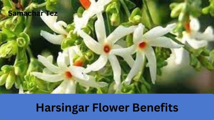 Harsingar Flower Benefits